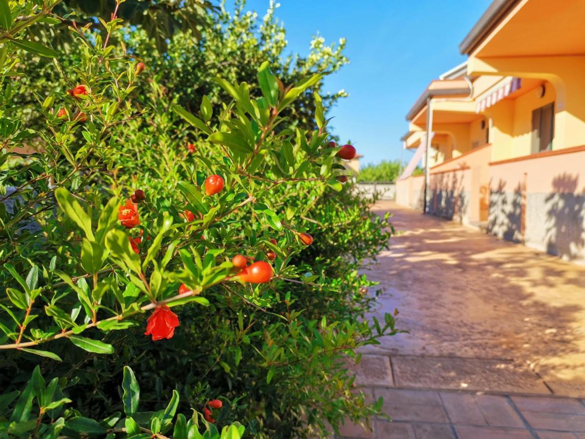 Le Zagare Case Vacanza Cropani Exterior photo